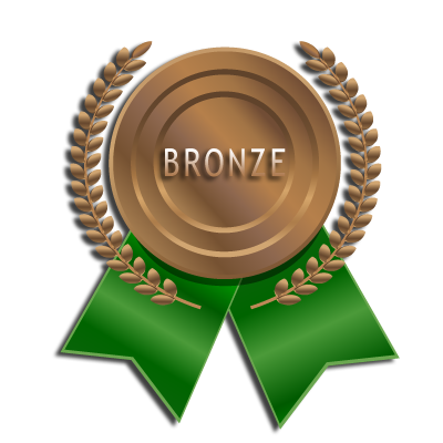 Bronze SEO Package